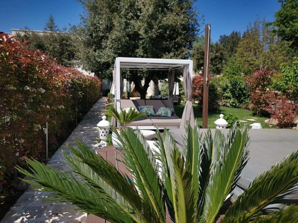 Apulia Dream B&B Le Lamie di Olimpe Εξωτερικό φωτογραφία
